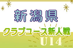 2024年度 新潟県クラブユースサッカー新人（U-14）大会 優勝はROUSE新潟！