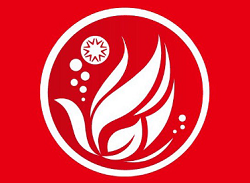F.C CAMELLIA（カメリア）ジュニアユース 体験練習 8/21～毎週水・木曜日開催！2025年度 広島県