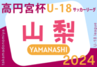 【入賞写真掲載】2024年度 U-11サッカー大会 兼 JA全農杯関東大会神奈川県予選 優勝はバディーSC！中野島FCとともに関東大会出場へ！情報・結果入力ありがとうございます！全結果揃いました！