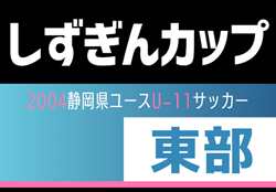 2024年度しずぎんカップ第40回静岡県ユースU-11サッカー大会 東部支部予選  県大会出場8チーム決定！情報提供ありがとうございます！