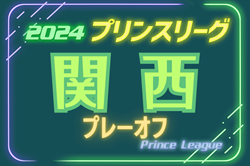高円宮杯 JFA U-18サッカーリーグ2024プリンスリーグ関西 プレーオフ（参入戦） 12/15決定戦結果更新！興國B・関西学院・三田学園がプリンスリーグ2部参入決定！