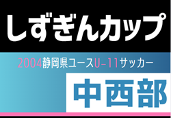 2024年度  しずぎんカップ第40回静岡県ユースU-11サッカー大会 中西部支部予選   藤枝東､ステラ､初倉､青島東がブロック優勝！プレーオフ勝者は相良SSS！県大会出場6チーム決定！