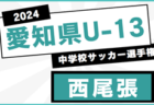 2024年度 愛知県U-13中学校サッカー選手権 東尾張地区大会  優勝は春日井中部！愛知県大会出場決定   情報提供ありがとうございます！