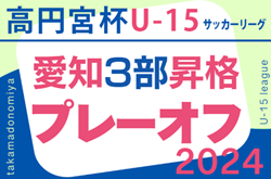 2024年度 高円宮杯 JFA U-15サッカーリーグ愛知  3部昇格プレーオフ   FC Toyoake Bが昇格、モノリスFCが残留決定！