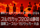 2024年度 4種リーグU-12（全日リーグ）豊能地区予選 大阪 地区代表はガンバ大阪、DREAM