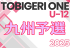 高円宮杯 JFA U-15サッカーリーグ2024 山口県チャンピオンリーグU-13 優勝はレノファ西！あと2試合、レスト・亀山 vs TRVISTA２、プラシア vs ALMAの情報募集