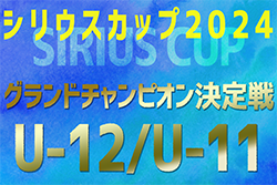 2024年度 第5回シリウスカップU-12/U-11 グランドチャンピオン決定戦（愛知）U-11の部はLION Jrが優勝！U-12の部 優勝はKjmb！　