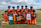 【優勝写真掲載】2024年度 第26回 西尾張少年サッカー ミカド星和カップ（愛知）優勝は尾西FC A！MUFGカップ県大会出場決定！