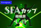 【優勝写真掲載】2024年度 SFAカップサッカー大会 U-9 (神奈川県)  優勝はパラブラFC、相模原市31チームの頂点に！多くの情報ありがとうございました！