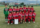 2024年度第27回兵庫県中学生（U-13）サッカ－選手権大会 西宮予選 優勝・県大会出場はFC LAVIZON！全結果掲載