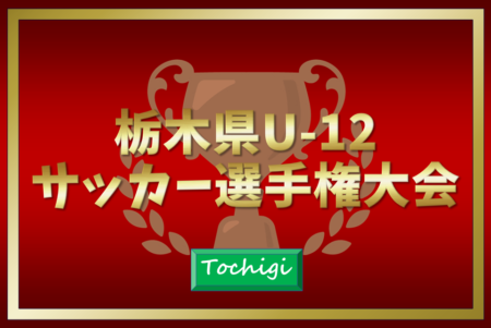 【入賞写真、優秀選手掲載】2024年度 栃木県U-12サッカー選手権 栃木SCが連覇達成、栃木県148チームの頂点に！多くの情報や結果入力ありがとうございました！