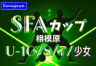 【優勝写真掲載】2024年度 SFAカップサッカー大会 U-9 (神奈川県)  優勝はパラブラFC、相模原市31チームの頂点に！多くの情報ありがとうございました！
