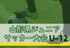 2025年度スタンダードカップ第52回岩手県サッカースポーツ少年団大会 例年6月開催！日程・組合せ募集中