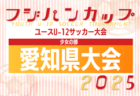 2025年度 U-15サッカーリーグ東三河（愛知）例年5月開幕！日程・組合せ情報募集