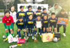 2025年度 第105回天皇杯大阪代表決定戦・第30回大阪サッカー選手権大会 3/30結果掲載！準決勝4/27