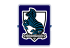 2025年度 第78回北海道高校サッカー選手権大会 札幌支部予選会（インハイ）優勝は北海高校！全道大会出場8チーム決定
