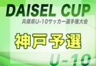 2025年度 堂本杯争奪 DAICEL CUP 第52回兵庫県U-10サッカー選手権大会 明石予選 例年9月開催！日程・組合せ募集中