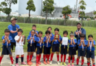 2025年度 第75回尼崎市市民スポーツ祭 6年生の部（兵庫） 6/22南コート結果更新！北コートの結果および次戦日程の情報募集　