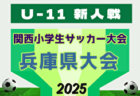 2025年度 第32回関西小学生サッカー大会 北摂予選(兵庫) 例年11月開催！日程・組合せ募集中