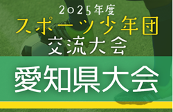 2025年度 第42回愛知県スポーツ少年団サッカー交流大会 愛知県大会  地区予選は8月末/9月～  例年11月開催   組み合わせ・日程募集！