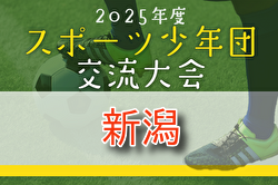 2025年度 第45回 新潟県スポーツ少年団競技別交流大会 サッカー新潟県大会 例年9月開催！組合せ・日程募集