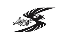 相模原シティユナイテッドジュニアユース 練習会兼セレクション 7/20他開催！2026年度 神奈川県