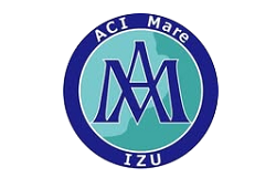 ACI Mare伊豆ジュニアユース 練習会 7/17.18開催！2026年度 静岡県