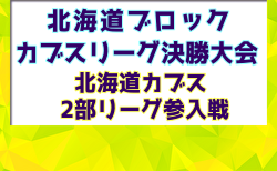 2025年度第10回北海道ブロックカブスリーグ決勝大会 兼 北海道カブス2部リーグ参入戦 大会要項掲載！10/18～11/1開催！組合せ募集中