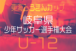 2025年度 東海ろうきんカップ 第58回岐阜県少年サッカー選手権大会 2/7,8開催！地区予選情報をお待ちしています！