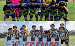 2025年度 第59回兵庫県中学生サッカー選手権大会 北播磨予選   県大会出場はFC FALCO、LUZ零壱FC！引き続き県大会出場あと1チームおよび未判明分の組合せ・結果情報募集