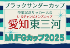 2025年度 AIFA卒業記念 MUFGカップ愛知  西三河代表決定戦  例年12,1月開催  組み合わせ・日程募集!