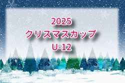 クリスマスカップ U-12 2025 福岡 例年12月開催！日程・組合せ募集