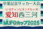 2025年度 ブラックサンダーカップ 兼 卒業記念 MUFGカップ愛知 東三河代表決定戦   例年12月開催  組み合わせ・日程募集!