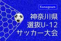 2025年度 神奈川新聞社旗争奪 第50回神奈川県選抜U-12サッカー大会 例年12月開催！組合せ・日程募集