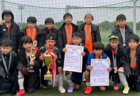 2025年度 京都市中学校秋季（新人）大会　決勝トーナメント 準々決勝･準決勝11/8.9結果掲載！決勝11/15