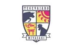 テゲバジャーロ宮崎 ジュニア練習見学会 第3回 11/15 開催 2026年度 宮崎県