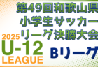 2025年度 日刊スポーツ杯 第32回関西小学生サッカー大会 奈良県大会 2/7,8,11開催!組合せ募集
