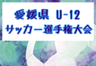 2025年度 Felix88 第39回山口県少年サッカー選手権大会 例年6月開催！日程・組合せ募集中