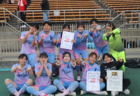 2026年度 第42回 茨木市U-12サッカーフェスティバル(大阪)例年5月開催!組合せ・日程募集