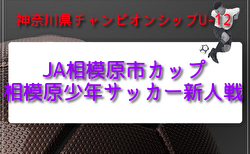 2026年度 JA相模原市カップ新人戦 U-12 (神奈川県) 組合せ掲載!情報ありがとうございます!U12は4/29開幕・女子は4/26開幕、U10は予選L4/11~19開催、U8は予選L4/11~18開催