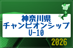 2026年度 第18回神奈川県チャンピオンシップU-10 例年6月開催！日程・地区予選情報募集