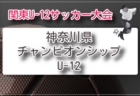 2026年度 全日本高校女子サッカー選手権 神奈川県予選 例年6月開催！組合せ・日程募集