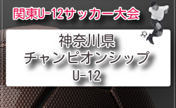 2026年度 神奈川県チャンピオンシップU-12 6/13組合せ抽選、6/27～7/5開催！地区予選情報判明分掲載！