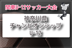2026年度 神奈川県チャンピオンシップU-12 例年6月開催！組合せ・日程募集