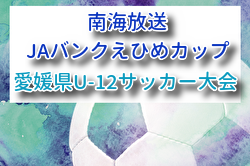 2026年度 第50回南海放送・JAバンクえひめカップ愛媛県U-12サッカー大会 例年7月開催！組合せ・日程募集