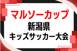 2026年度 マルソーカップ第24回新潟県キッズサッカー大会    やぐら表･要項掲載！9/19,20開催！地区予選情報募集   中越/県央ブロック予選は6/27,28