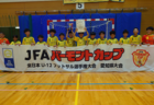 2026年度 天皇杯 静岡県代表決定戦／静岡県サッカー選手権   アスルクラロ沼津がPK戦を制し優勝！天皇杯出場決定！