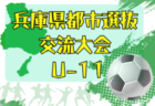 2026年度 姫路サッカーフェスティバルU-18(兵庫) 例年8月開催!組合せ・日程募集