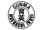 高崎健康福祉大学高崎高校（健大高崎）男子サッカー部練習会 6/28,7/19開催 2027年度 群馬