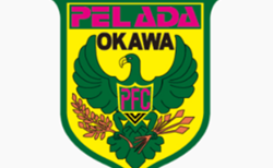 ペラーダ大川FC 新メンバー募集!体験練習随時 2027年度 福岡県